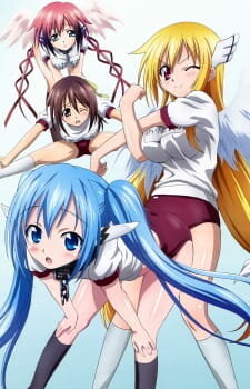Sora no Otoshimono Forte / Утраченное небесами ТВ-2 (12 из 12) Complete