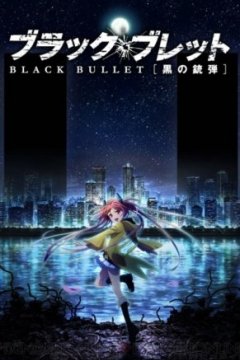 Black Bullet / Чёрная пуля (13 из 13) Complete