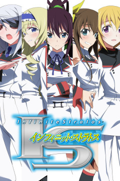 Обложка IS: Infinite Stratos