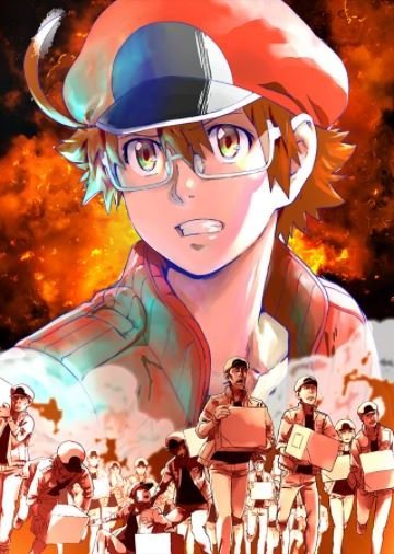 Hataraku Saibou Black / Клетки за работой: Тёмная сторона (13 из 13) Complete