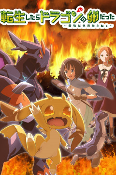 Обложка Tensei shitara Dragon no Tamago datta