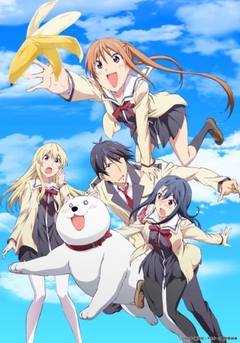 Aho Girl / Дурочка (12 из 12) Complete