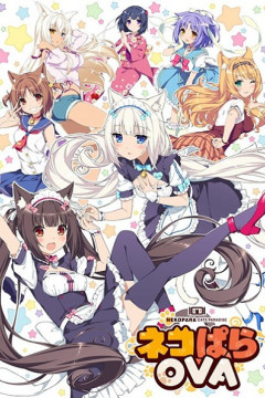 Обложка Nekopara OVA