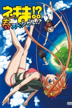 Обложка Negima!? Haru Special!?