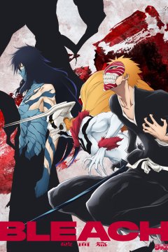 Bleach: Sennen Kessen Hen - Kashin Tan / Блич [ТВ-2, часть 4] (1—4)