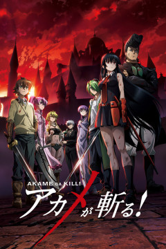 Обложка Akame ga Kill!