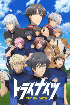 Обложка Try Knights