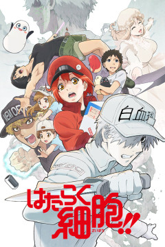 Обложка Hataraku Saibou!!