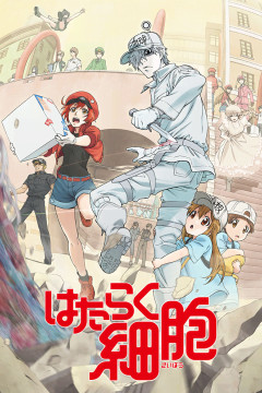 Обложка Hataraku Saibou