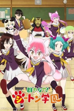 Murenase! Seton Gakuen / Добро пожаловать в Сэтон (12 из 12) Complete
