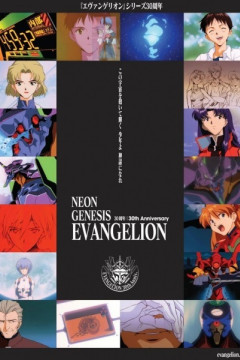 Обложка Evangelion: Housou 30-shuunen Kinen Tokubetsu Kougyou