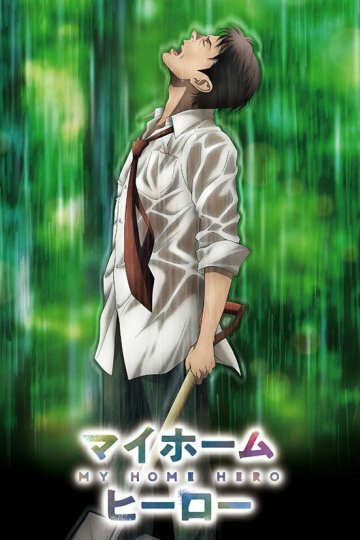 My Home Hero / Мой домашний герой (12 из 12) Complete