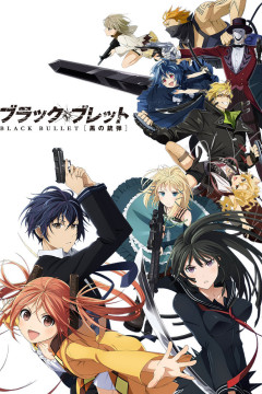 Обложка Black Bullet