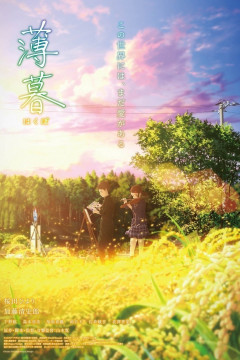Обложка Hakubo