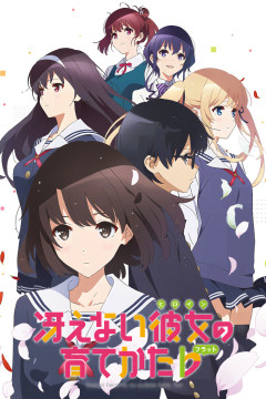 Обложка Saenai Heroine no Sodatekata  