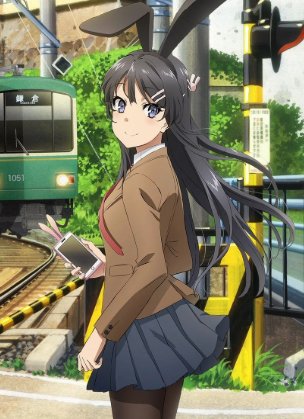 Seishun Buta Yarou wa Bunny Girl Senpai no Yume o Minai / Эта глупая свинья не понимает мечту девочки-зайки! (13 из 13) Complete