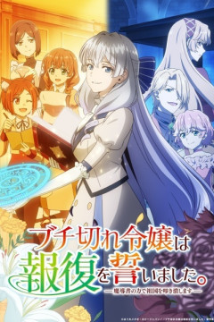 Обложка Buchigire Reijou wa Houfuku wo Chikaimashita. Madousho no Chikara de Sokoku wo Tatakitsubushimasu