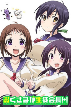 Обложка Okusama ga Seitokaichou!+!