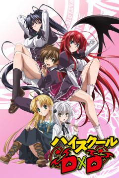 Обложка High School DxD