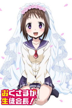 Обложка Okusama ga Seitokaichou!