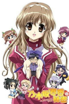 Обложка Nogizaka Haruka no Himitsu