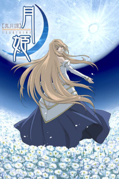 Обложка Shingetsutan Tsukihime