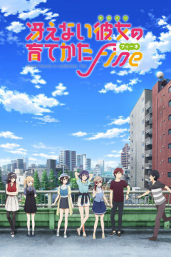 Обложка Saenai Heroine no Sodatekata Fine