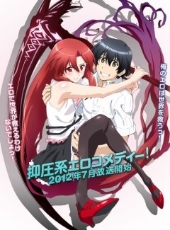 Dakara Boku wa, H ga Dekinai. (12 из 12) Complete