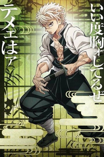 Kimetsu no Yaiba: Hashira Geiko Hen / Истребитель демонов: Тренировка столпов (8 из 8) Complete