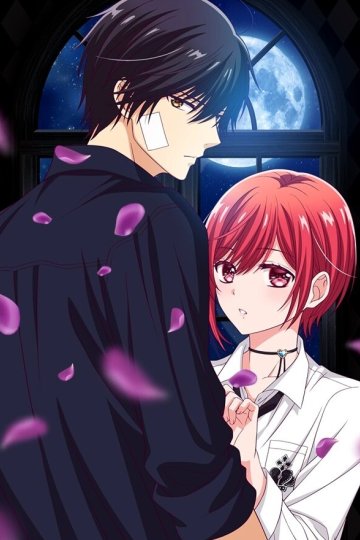 Vampire Dormitory / Вампирское общежитие (12 из 12) Complete