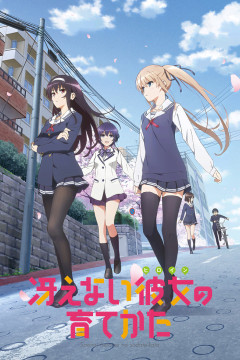 Обложка Saenai Heroine no Sodatekata